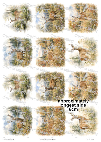 Deer In Autumn Meadow Decoupage Rice Paper | RP7525