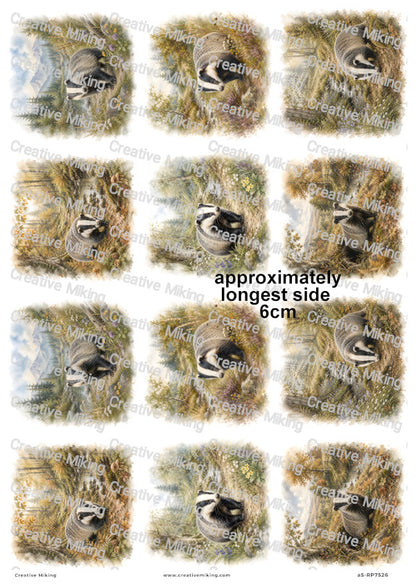 Badger In Autumn Woodland Decoupage Rice Paper | RP7526