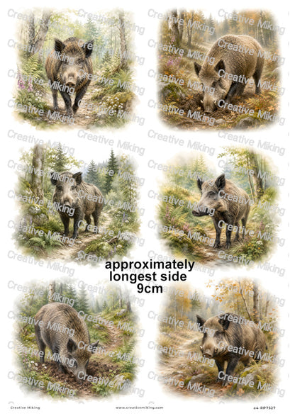 Wild Boar In Autumn Woodland Decoupage Rice Paper | RP7527