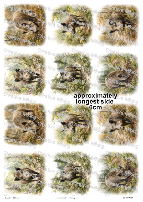 Wild Boar In Autumn Woodland Decoupage Rice Paper | RP7527