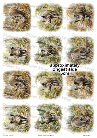 Wild Boar In Autumn Woodland Decoupage Rice Paper | RP7527