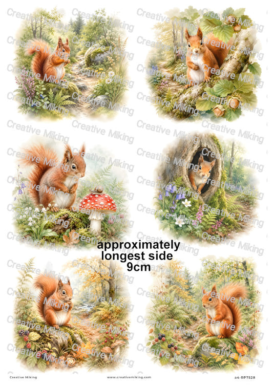 Squirrel In Autumn Woodland Decoupage Rice Paper | RP7528