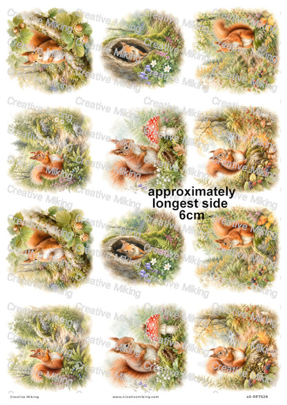 Squirrel In Autumn Woodland Decoupage Rice Paper | RP7528