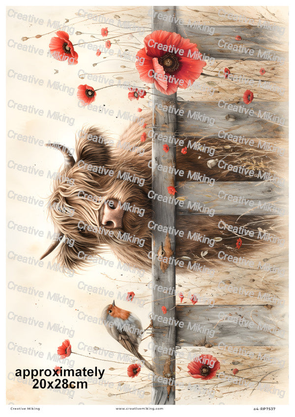 Highland With Robin Bird Among Poppies Decoupage Rice Paper | RP7537