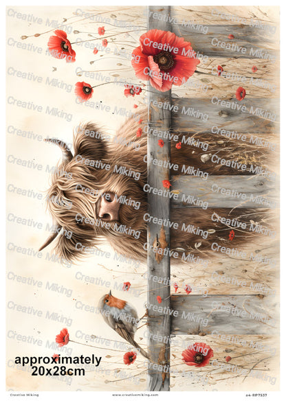 Highland With Robin Bird Among Poppies Decoupage Rice Paper | RP7537