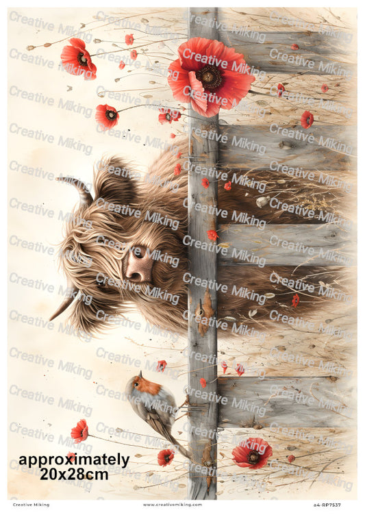 Highland With Robin Bird Among Poppies Decoupage Rice Paper | RP7537