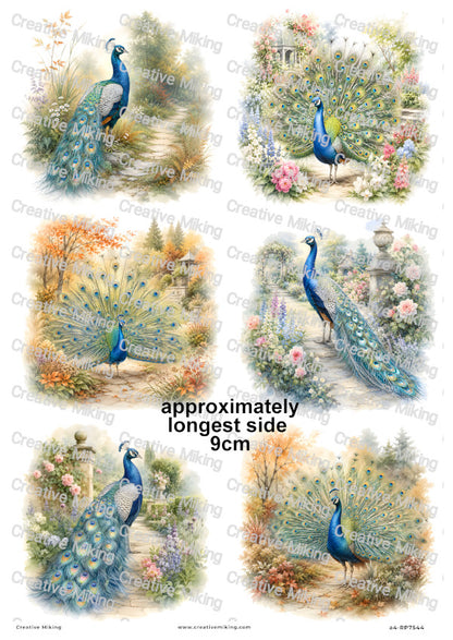 Peacock Bird In English Garden Decoupage Rice Paper | RP7544