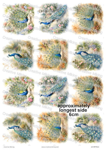 Peacock Bird In English Garden Decoupage Rice Paper | RP7544