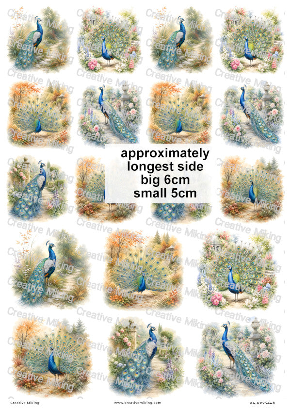 Peacock Bird In English Garden Decoupage Rice Paper | RP7544b