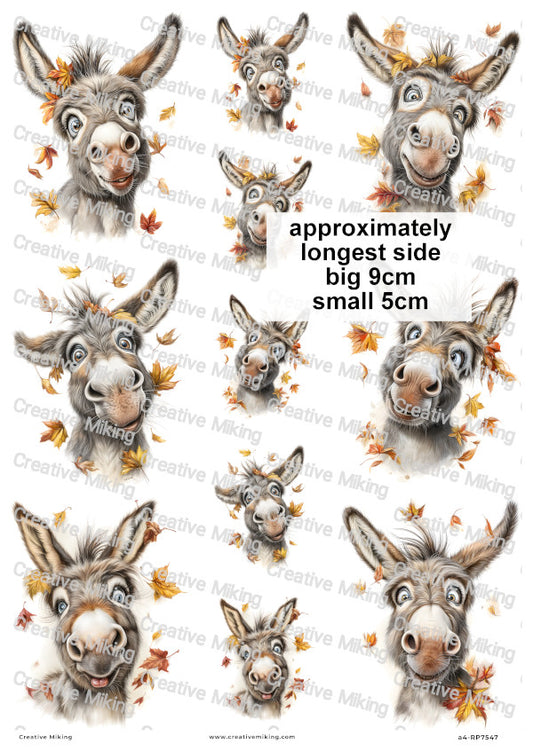Donkeys With Autumn Leaves Funny Decoupage Rice Paper | RP7547