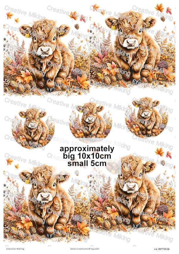 Highland Cow Autumn Decoupage Rice Paper | RP7552b