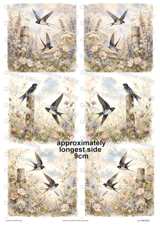 Swallow Birds Decoupage Rice Paper | RP7553