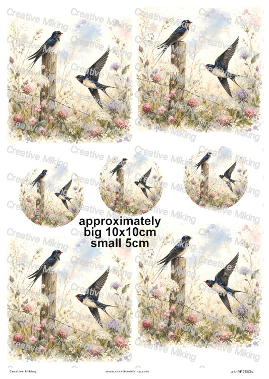 Swallow Birds Decoupage Rice Paper | RP7553c
