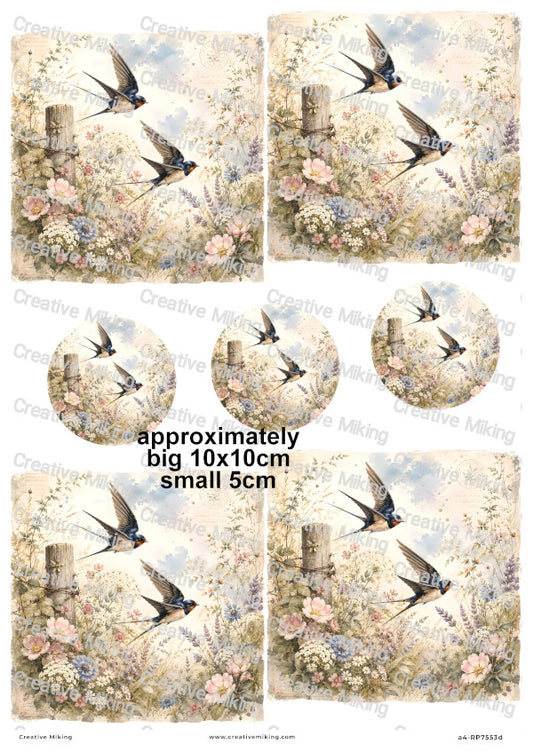 Swallow Birds Decoupage Rice Paper | RP7553d
