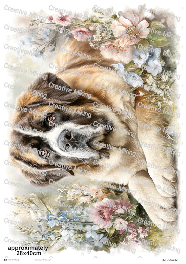 DOG032 - Saint Bernard