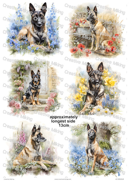 Belgian Malinois Dog Decoupage Rice Paper | DOG048