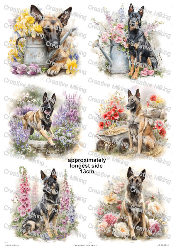 Belgian Malinois Dog Decoupage Rice Paper | DOG049