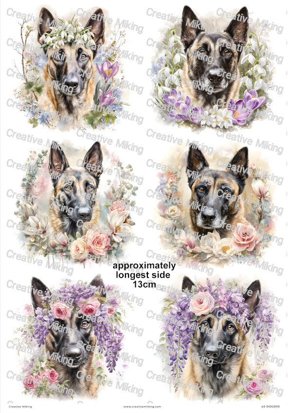 Belgian Malinois Dog Decoupage Rice Paper | DOG050