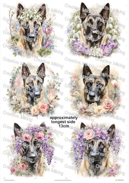 Belgian Malinois Dog Decoupage Rice Paper | DOG050