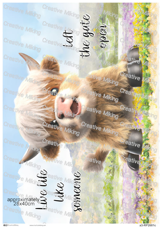 Highland Cow Decoupage Paper | RP2681c