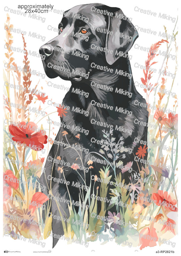 Black Labrador Retriever Dog Among Flowers Decoupage Rice Paper | RP2821b