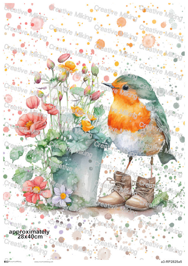 RP2825a5 - Robin in Boots