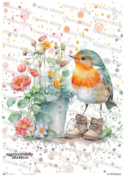 RP2825a5 - Robin in Boots