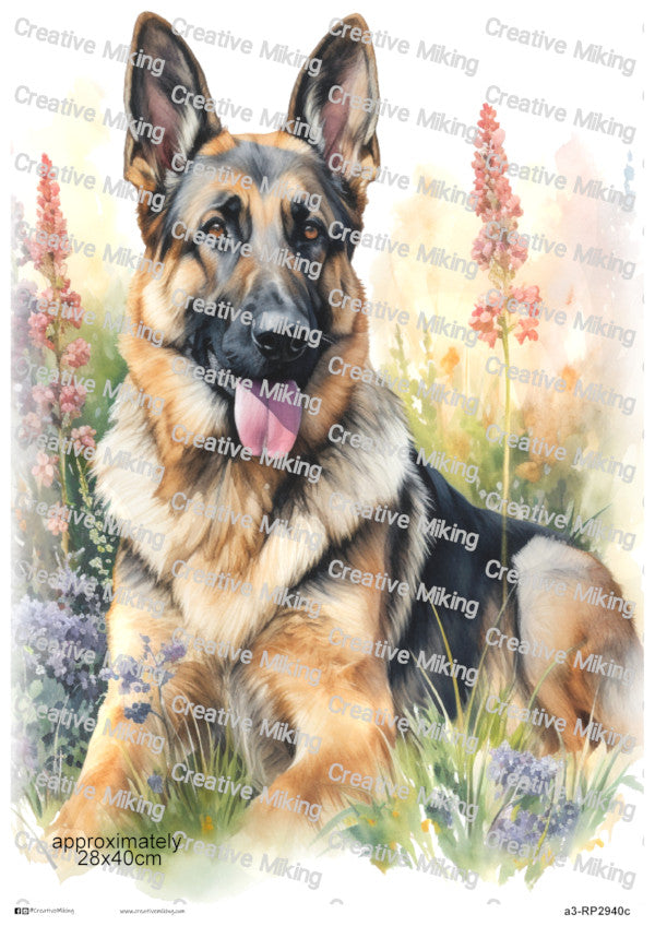German Shepherd Dog in Meadow Watercolor Decoupage Paper | RP2940c