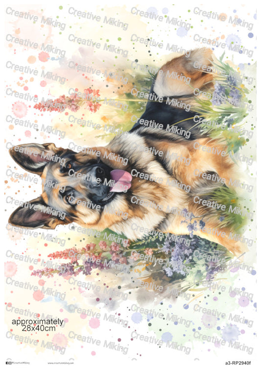 German Shepherd Dog in Meadow Watercolor Decoupage Paper | RP2940f
