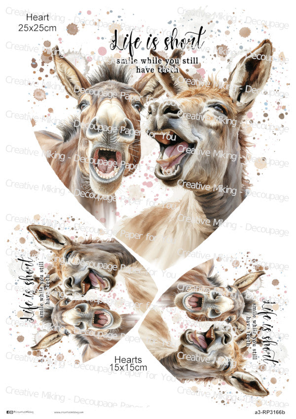 Donkey Funny Watercolor Splatters Decoupage Paper | RP3166b