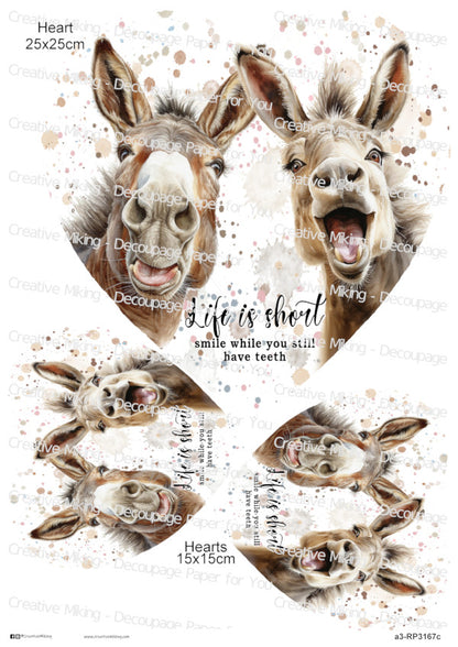 Donkey Funny Watercolor Splatters Decoupage Paper | RP3167c