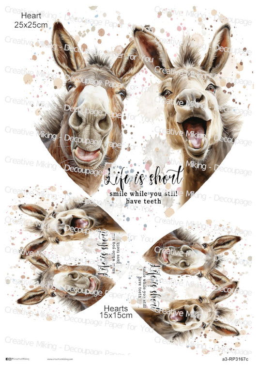 Donkey Funny Watercolor Splatters Decoupage Paper | RP3167c