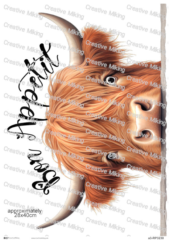 Highland Cow Decoupage Rice Paper | RP3230