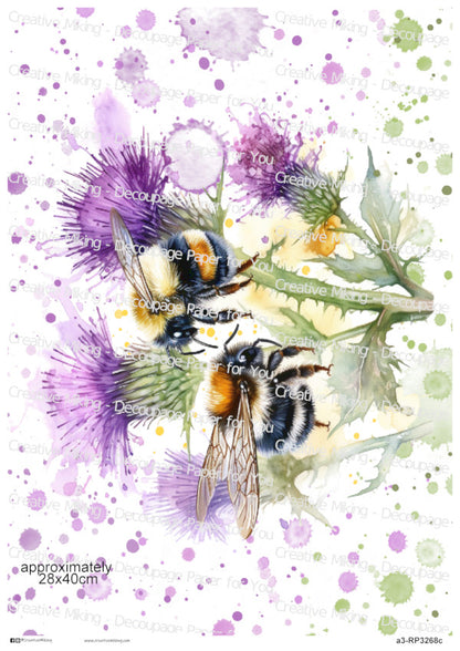 RP3268c - Bumblebees and Thistle