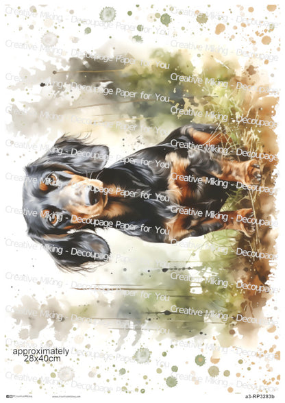 Dachshund Dog Decoupage Paper | RP3283b