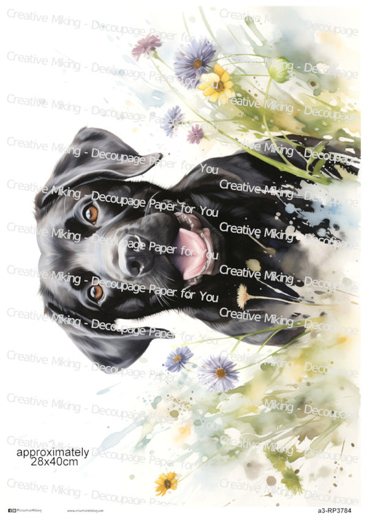 Black Labrador Retriever in Meadow Dog Decoupage Paper | RP3784