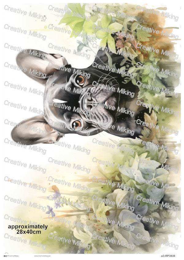 RP3935 - French Bulldog