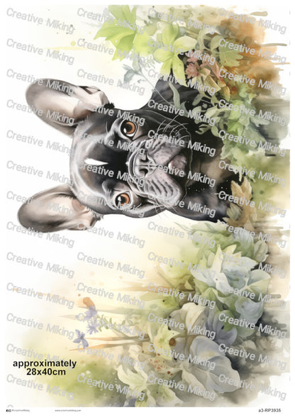 RP3935 - French Bulldog
