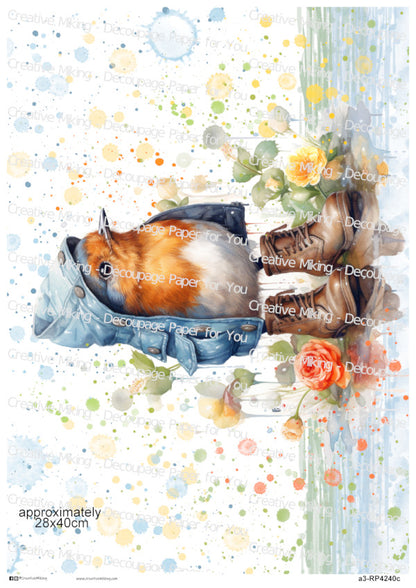 RP4240c - Robin in Blue Jacket and Boots