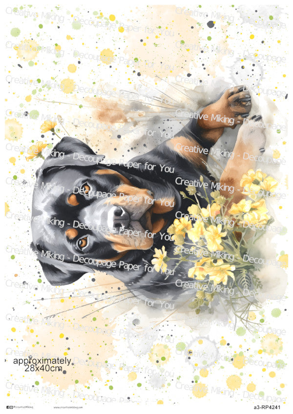 Rottweiler Dog With Yellow Flowers Watercolor Spalsh Decoupage Rice Paper | RP4241