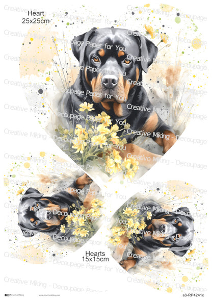 Rottweiler Dog With Yellow Flowers Watercolor Spalsh Decoupage Rice Paper | RP4241c