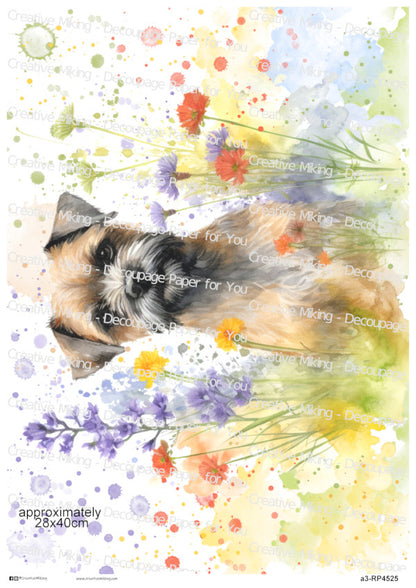 Border Terrier Dog Among Wildflowers Watercolor Splash Decoupage Paper | RP4525
