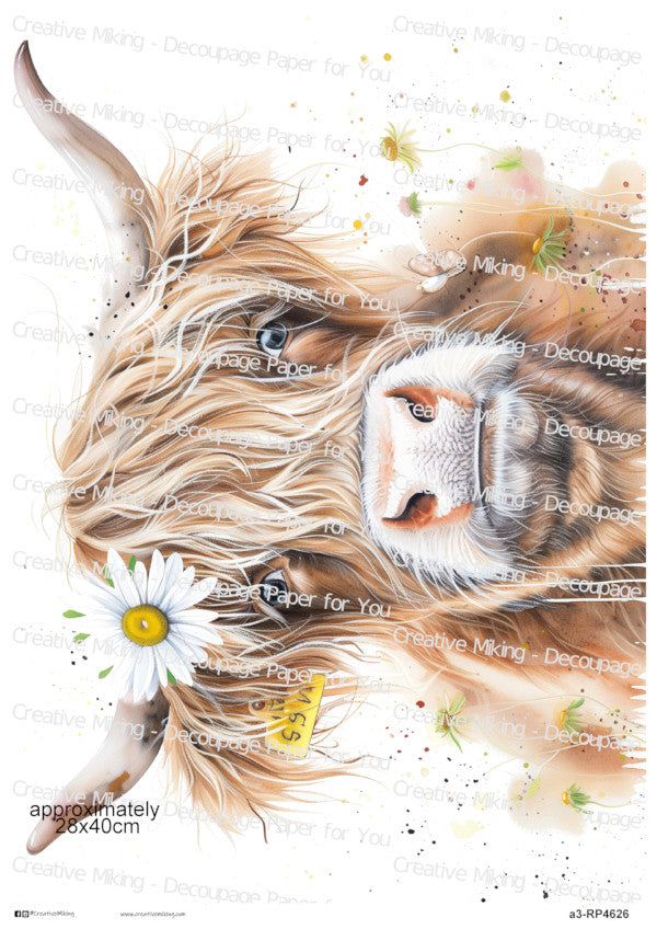 Highland Cow With Daisy Flower Decoupage Paper | RP4626