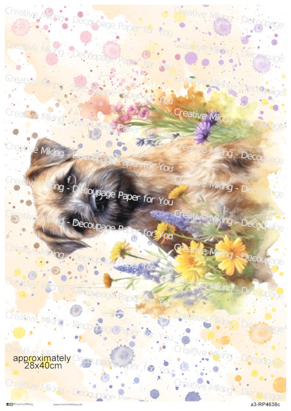 Border Terrier Dog With Flowers Watercolor Splash Decoupage Paper | RP4638c