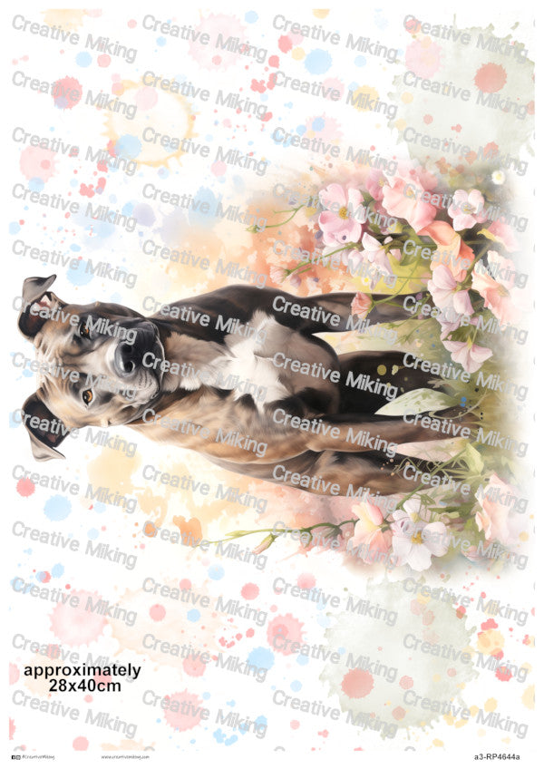 RP4644a - Staffordshire Bull Terrier