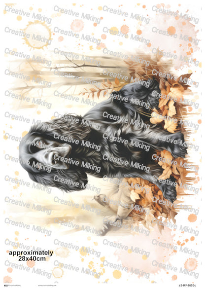 RP4653c - Cocker Spaniel