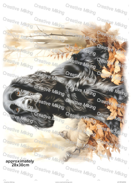 Black English Cocker Spaniel Dog A3 Decoupage Paper | a3-RP4653c