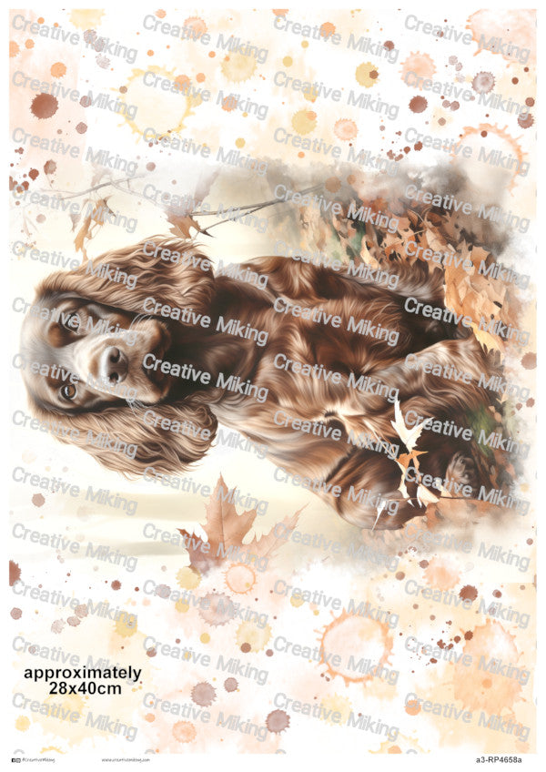 RP4658a - Cocker Spaniel