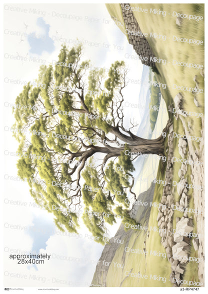 Lone Tree In English Countryside Decoupage Rice Paper | RP4747