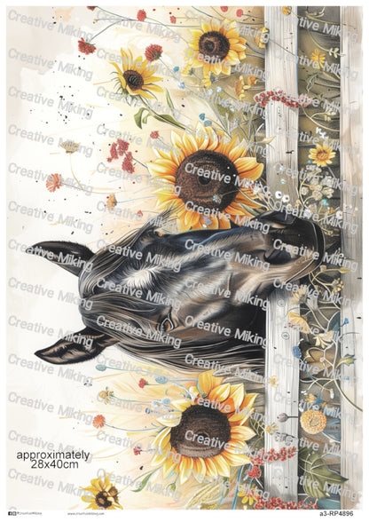 Black Horse And Sunflowers By A Wooden Fence Decoupage Rice Paper | RP4896